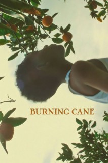 Burning Cane