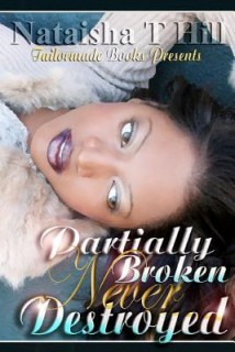 Partially Broken Never Destroyed I: The Trilogy